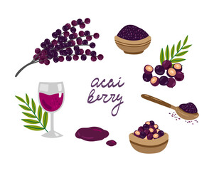 Vector hand drawn set of acai. Acai berries and branches, acai juice and acai powder. Superfood. Cartoon style illustration.