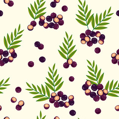 Seamless background of acai berries. Acai berries and branches. Superfood. Cartoon style pattern. Food background.