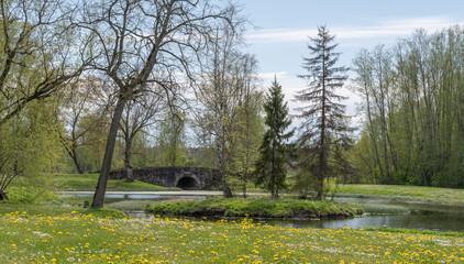 rural landscape with a bridge