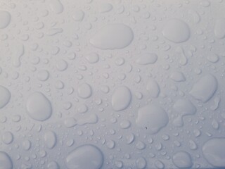water drops on white backround