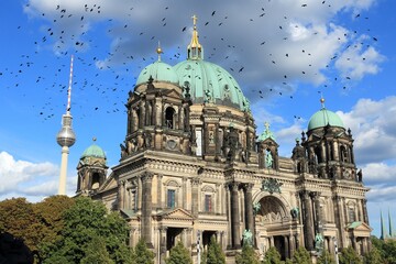 Berlin. Black birds flock over city.