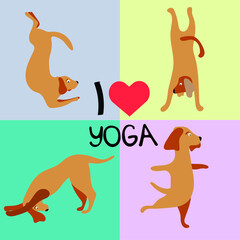 Cute card. I love yoga. Sweet dog. Design for banner, card, placard, brochure