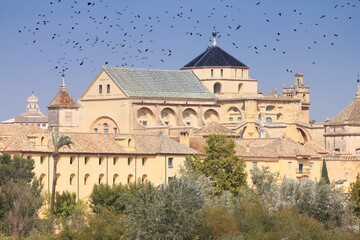 Fototapeta na wymiar Cordoba, Spain. Black birds flock over city.
