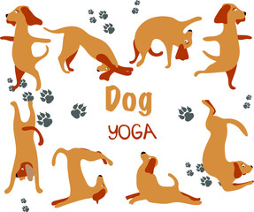 Collection hand drawn. Dog yoga. Transparent background. Vector