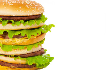 Very big double cheeseburger isoated on white background