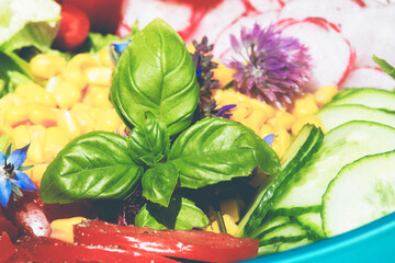 Salad in a Bowl with Tomatoes, Peppers, Corn, Lettuce