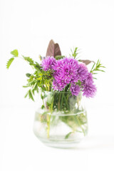 Herbal food concept chive blossoms and aromatic herbals in glass jar isolated on white background