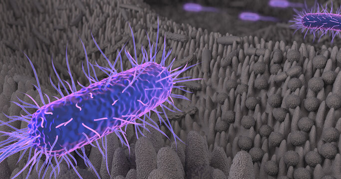 Darmflora_III_Micro_4K_Tiefensch&auml;rfe