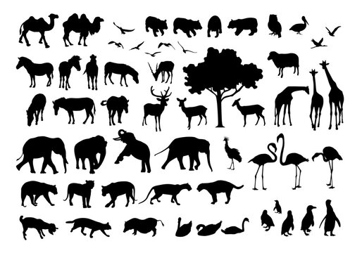 Collection of animal silhouettes. Vector illustration isolated  on white background. Wild animals.