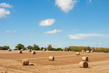 Straw bales on a summer land