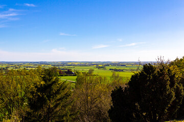 Fototapeta premium The flat Scanian farmlands visible behind some trees on a beautiful spring day in southern Sweden