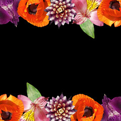 Beautiful floral pattern of alstroemeria, poppy and guzmania. Isolated
