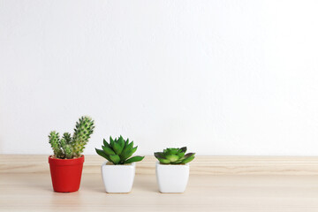 small cactus in the pot are displayed on the wooden table in the minimal zen design bedroom