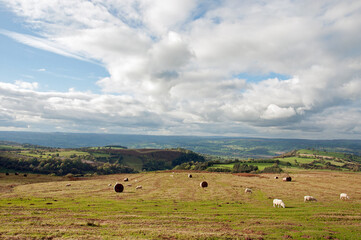 Obraz premium Autumn scenery around Hay Bluff in the Black mountains of England and Wales