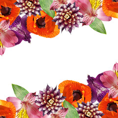 Beautiful floral background of alstroemeria, poppy and guzmania. Isolated