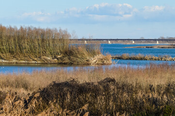 The Po river in autumn towards its delta mouth in the province of Rovigo, Italy