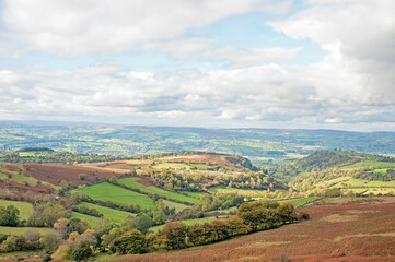 Fototapeta na wymiar Autumn scenery around Hay Bluff in the Black mountains of England and Wales