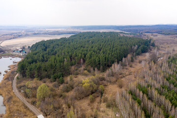 Naklejka premium green forest, view from above 