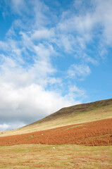Fototapeta premium Autumn landscape in the Brecon beacons and Black mountains of the United Kingdom
