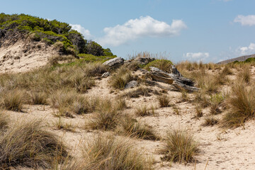Sand dunes near Cala Mesquida beach on Mallorca island in Mediterranean Sea.
