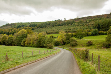 Fototapeta na wymiar Country road in the Welsh hills in the summertime
