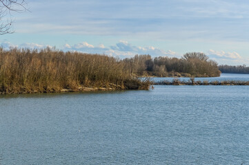 The Po river in autumn towards its delta mouth in the province of Rovigo, Italy