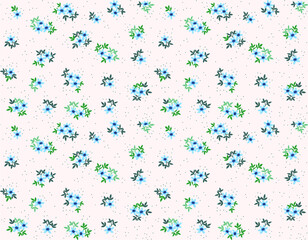 Cute Floral pattern in the small flower. Ditsy print. Motifs scattered random. Seamless vector texture. Elegant template for fashion prints. Printing with small light blue flowers. White background.