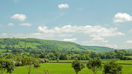 Fototapeta na wymiar Summertime scenery in the Welsh hills of the United Kingdom