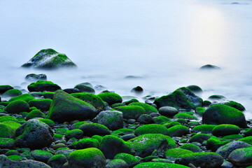 제주도 몽돌에 낀 이끼를 장노출로 찍은 사진