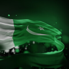 PAKISTAN Colors Background, PAKISTANI National Flag (3D Render)
- 354616699