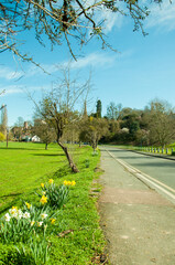 Springtime landscape in Ross-on-Wye, England