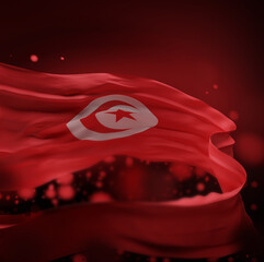 TUNISIA Colors Background,TUNISIAN National Flag( 3D Render)
- 354617637