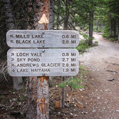 Trails in Rocky Mountains