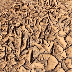 Dried mud