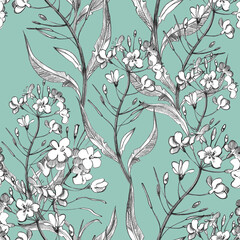 Hand draw seamless floral pattern in vintage style. Flowers, leaves and herbs. Botanical illustrations.