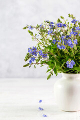 Image with blue flowers.