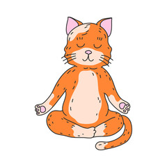 Obraz premium Red cat sitting and meditating in lotus pose