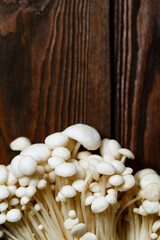 Enoki, Enokitake, Flammulina velutipes, edible mushroom popular in Japanese cuisine