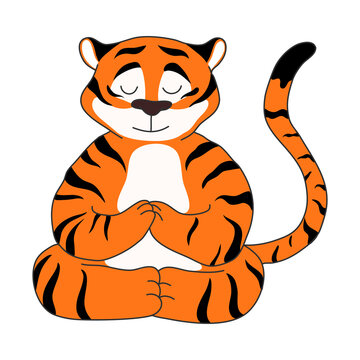 Big red striped tiger sitting and meditating in lotus pose with eyes closed