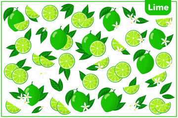 Set of vector cartoon illustrations with Lime exotic fruits, flowers and leaves isolated on white background