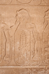 Fototapeta na wymiar Hieroglyphic carvings on an ancient egyptian temple wall
