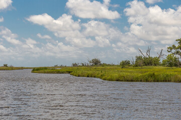 Large lake with grassy marsh fields and dead trees on sunny day with thick clouds