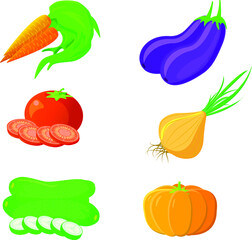 the vegetables set - carrot, tomato, cucumber, eggplant, onion, pumpkin