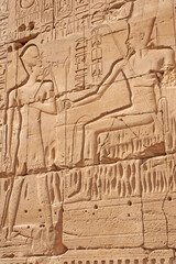 Hieroglyphic carvings on an ancient egyptian temple wall
