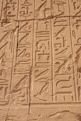 Hieroglyphic carvings on an ancient egyptian temple wall