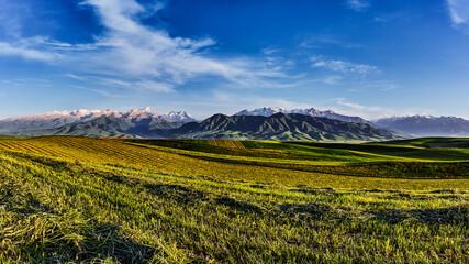 Fototapeta na wymiar Panorama of a mountain valley in summer, aerial view. Fairytale sunset over the mountain peaks, amazing nature, summer in the mountains. Travel, tourism. beautiful background picture of nature