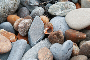 Stones by the sea, shell and pebbles on the beach, sea coast.