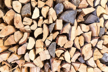 Raw and ancient wood texture, copy space photo