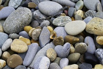Stones by the sea, shell and pebbles on the beach, sea coast.