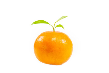 Orange mandarin or tangerine fruit skin textures . Juicy Orange isolated on white background